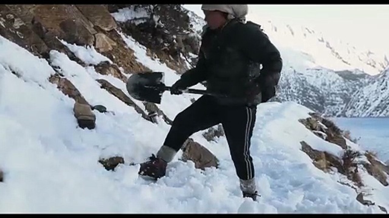 Snow Leopard Sisters - Trailer
