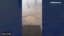 El temporal Leonardo barre la localidad sevillana de Écija con vientos fuertes
