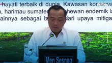 Based on Forest Task Force Report, Prabowo Revokes Permits of 28 Environmentally Damaging Companies in Sumatra | Tirto Recap
