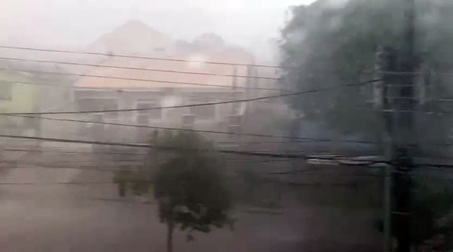 Vídeo! Tempestade com ventos de até 71 km/h derruba árvores e causa estragos em bairros de Curitiba