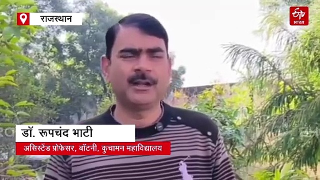 विश्व आर्द्रभूमि दिवस 2026 : 8 वर्ग किमी की आर्द्रभूमि से दुनिया में पहचान, केवलादेव में बसता है लाखों पक्षियों का संसार