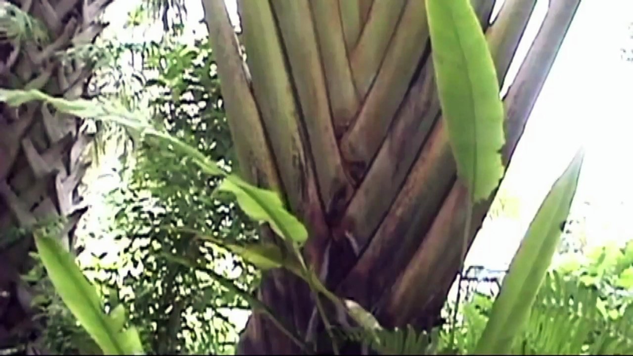 Police Force Miami Narcotics (2010) Full Movie