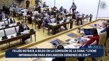 Feijóo retrata a Bildu en la comisión de la DANA: 