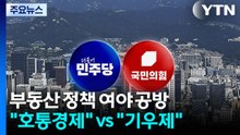 "호통으로 잡힐 집값?"..."인디언 기우제 그만" / YTN