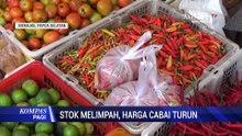 Stok Melimpah, Harga Cabai Turun Dalam Dua Hari Terakhir