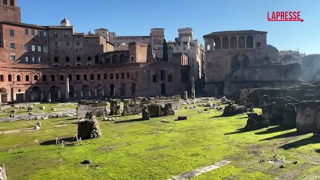 Roma, al via i lavori di messa in sicurezza dell?albero caduto a via dei Fori Imperiali