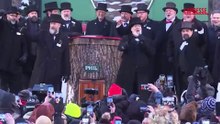 E' il giorno della marmotta, Phil ha fatto la sua previsione: la cerimonia a Punxsutawney