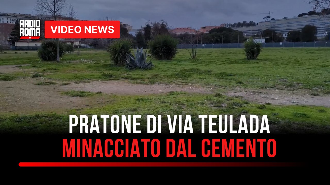 Pratone di via Teulada minacciato dal cemento