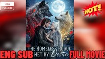 🎁🔥[Hot 2026]THE HOMELESS ROGUE I MET BY DESTIN 🔥 🔥 [Hot 2026] 🍀