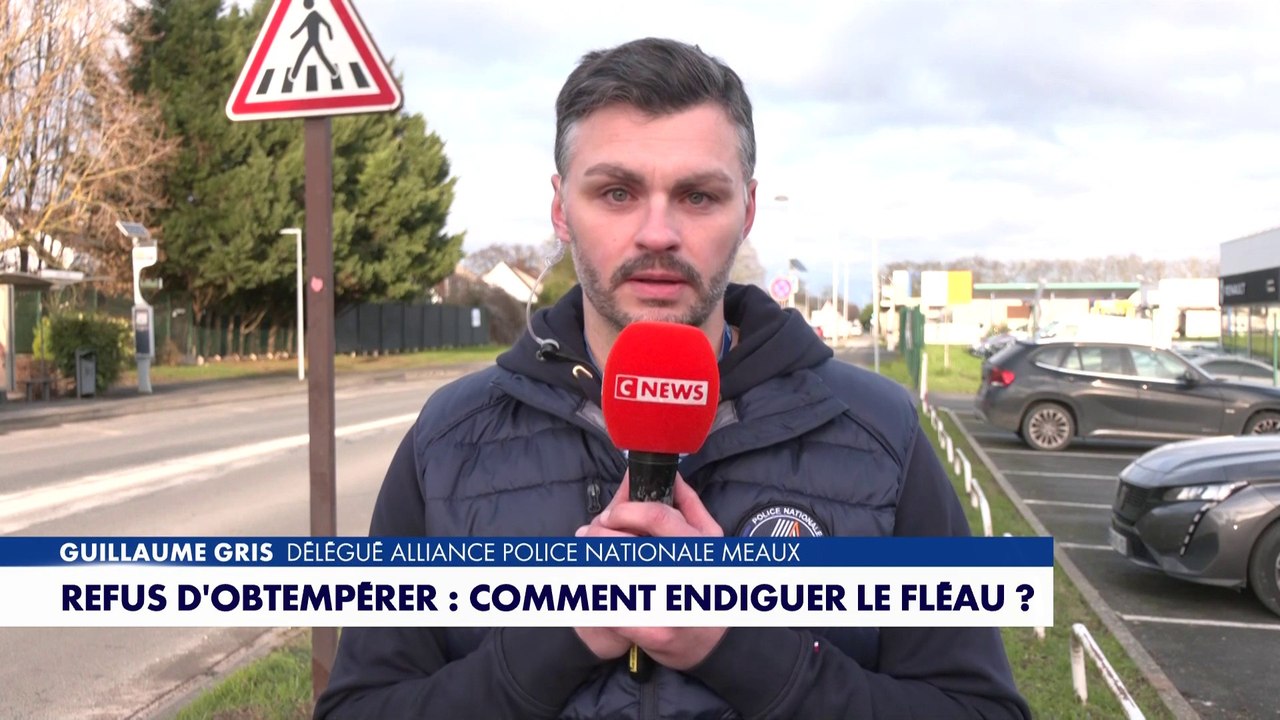 Guillaume Gris : «Les auteurs foncent sur nous sans se soucier de notre vie»