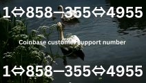 complete List coinbase (Toll Free Number Support)