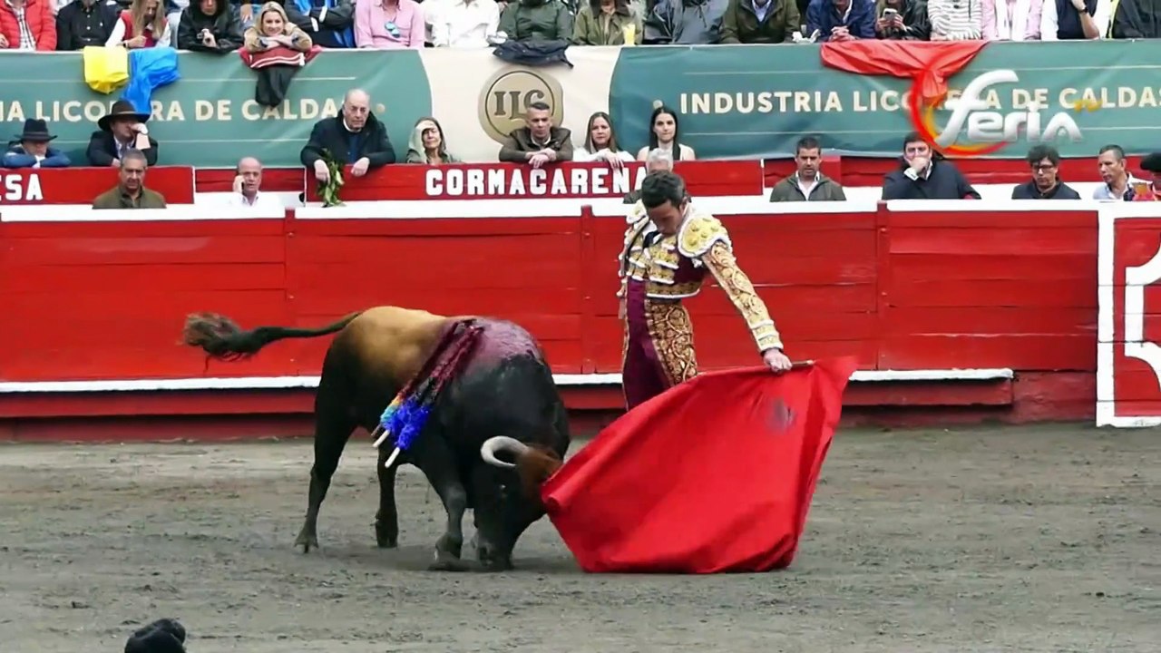 Ismael Martín, torero salmantino y una de las revelaciones de 2025 acaparando premios en la feria de Salamanca