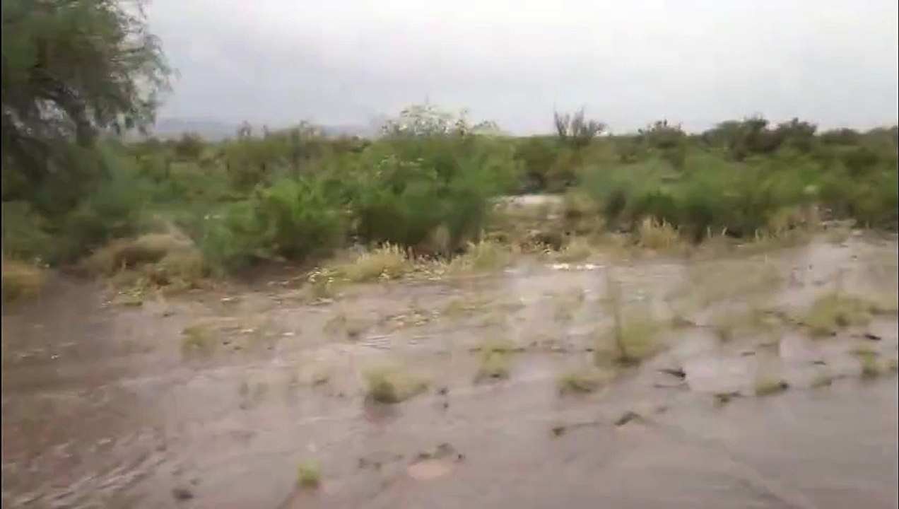 Un fuerte temporal de lluvia azotó a la provincia de San Juan y provocó el corte total de la Ruta Nacional 141