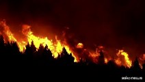 Gli incendi devastano i boschi della Patagonia in Argentina
