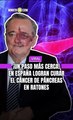 Por primera vez en la historia de la medicina, un equipo de investigadores logra la eliminación total del cáncer de páncreas en modelos de estudio.