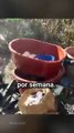 Desmantelan narcolaboratorio de metanfetamina en la sierra de Baja California 💥