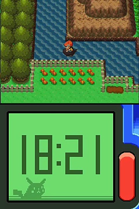 Pokémon Version Diamant online multiplayer - nds