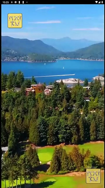 Blood & Silver Rise of the Alpha's Rejected Mate Full Movie