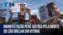 Manifestação pede justiça pela morte do cão Orelha em Vitória
