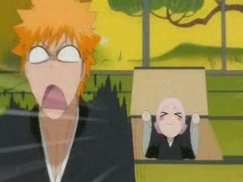 Bleach 173 Preview Vostfr