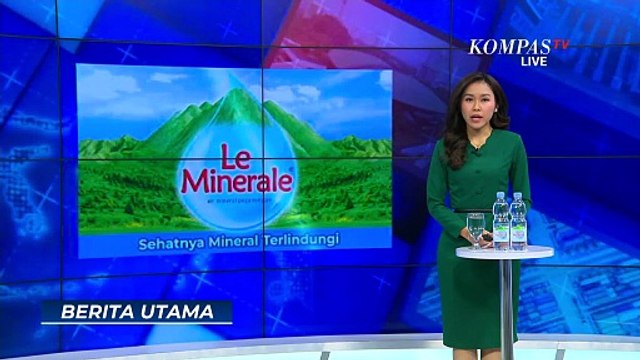 Lumba-lumba Terluka Terdampar di Pantai Maros, Gagal Dilepas karena Ombak Tinggi