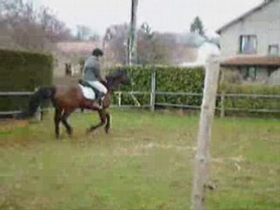 pas de titre