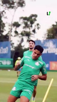 BOLETIM PALMEIRAS