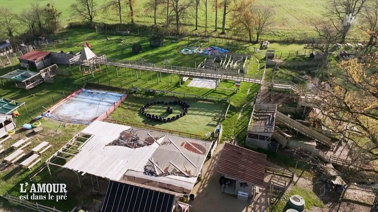 Justine (L’amour est dans le pré) : ces noms très spéciaux qu’elle a donné à ses lamas “parce qu’elles aiment cracher sur tout le monde”.