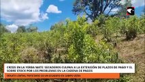Crisis en la yerba mate: secaderos culpan a la extensión de plazos de pago y el sobre stock