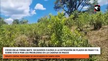 Crisis en la yerba mate: secaderos culpan a la extensión de plazos de pago y el sobre stock