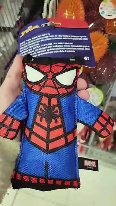 Vidéo exclusive DAILYMOTION - Mini vlog - à la recherche de mes prochaines pépites