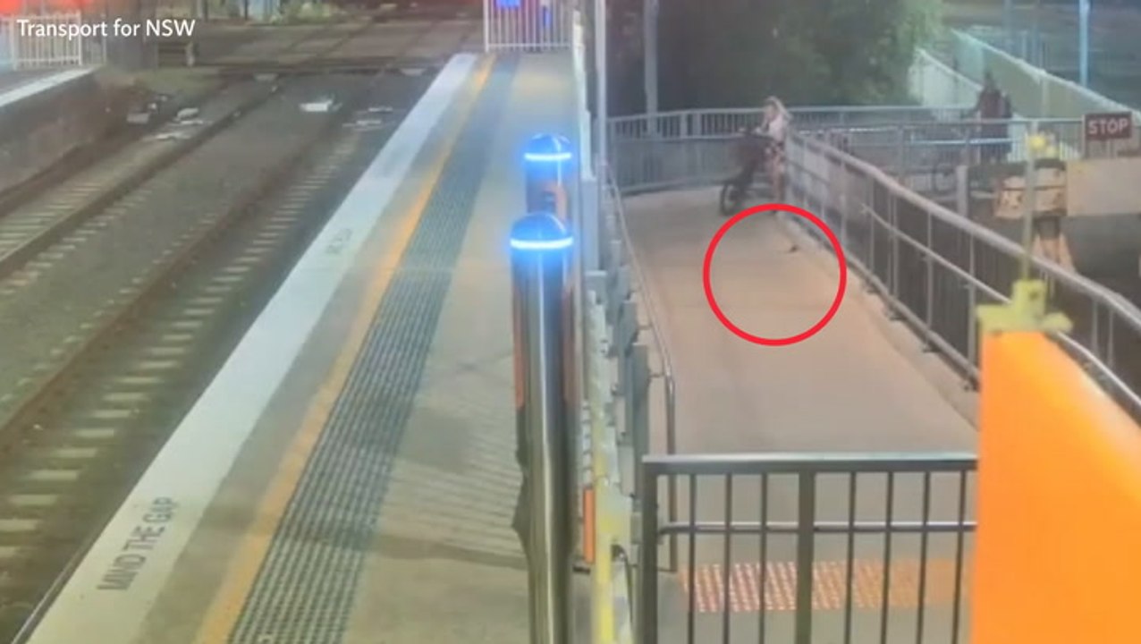 Snake causes terror at train station - before fearless passenger takes matters into his own hands
