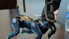 Hengbot Sirius Robot Dog #shorts
