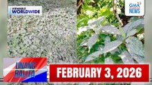 Unang Balita sa Unang Hirit: (Part 1) FEBRUARY 3, 2026 [HD]