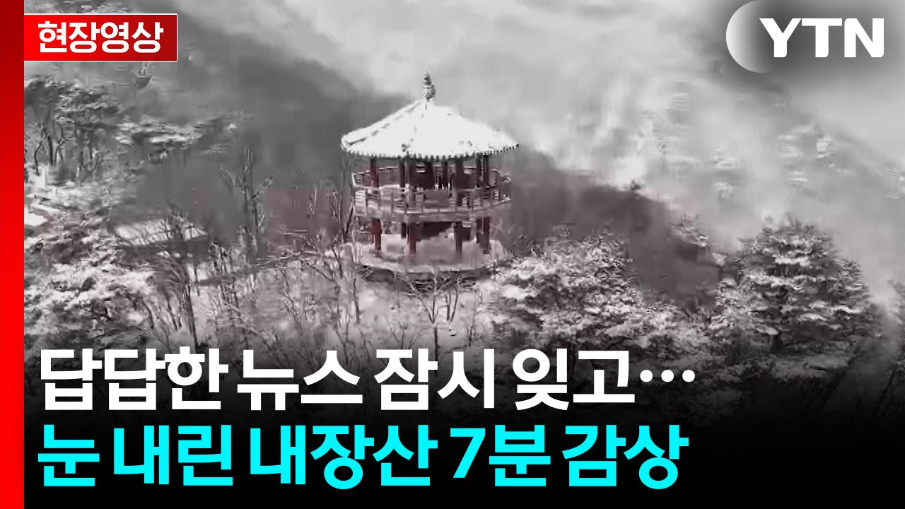 [뉴스 休] 단풍 대신 설경...  하얗게 변해버린 내장산 설경 무아지경 7분  / YTN