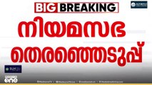 'പാലക്കാട് 7 സീറ്റുകൾ വേണം...' കോൺഗ്രസ് നേതൃത്വത്തിന് കത്ത് നൽകി യൂത്ത് കോൺഗ്രസ്