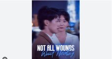 Not All Wounds Want Healing Full Chinese Drama - English Sub