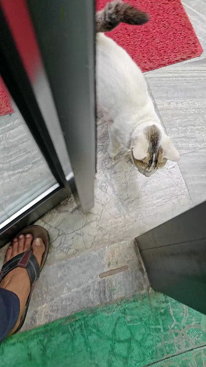 6538