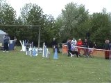 Séléctif GPF Jumping