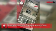 Esenyurt’ta pes dedirten görüntü! Boşaltılan binanın kapı ve pencerelerini söküp götürdüler