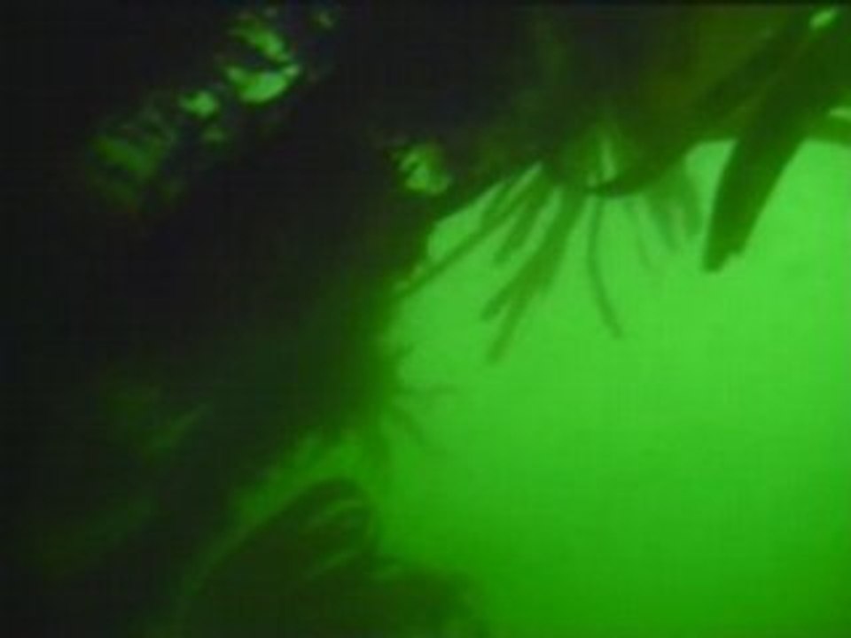 Sortiedu 24052008