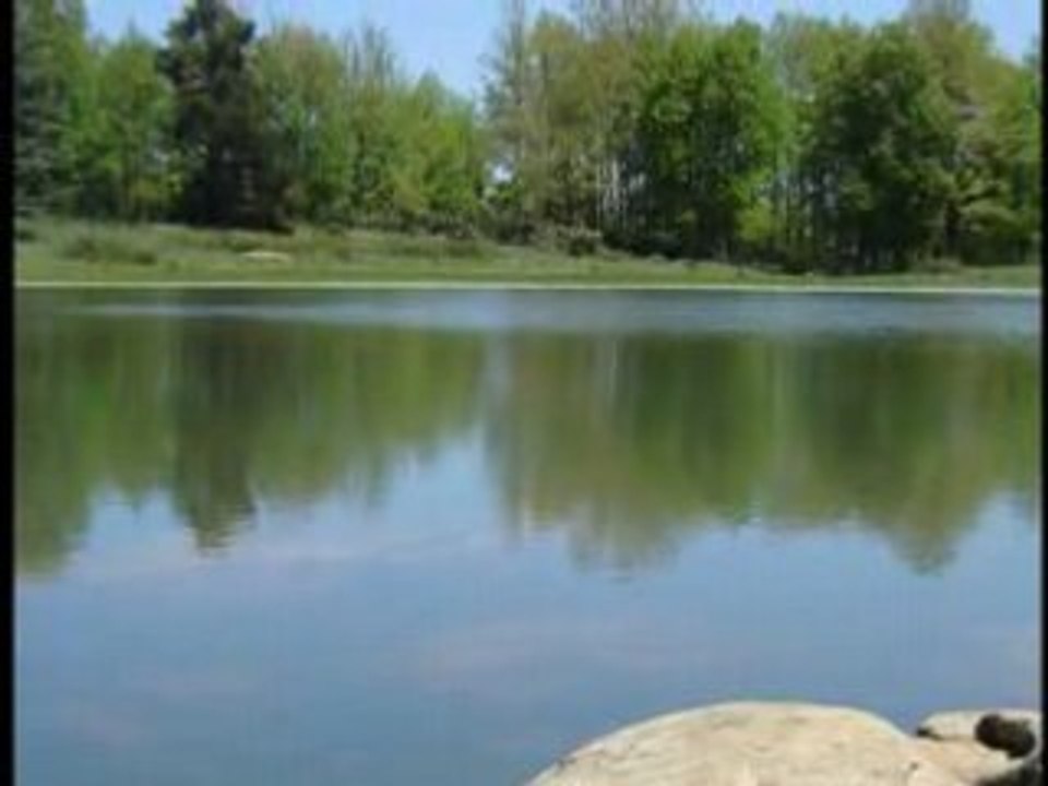 Le lac noir, Akfadou - Kabylie