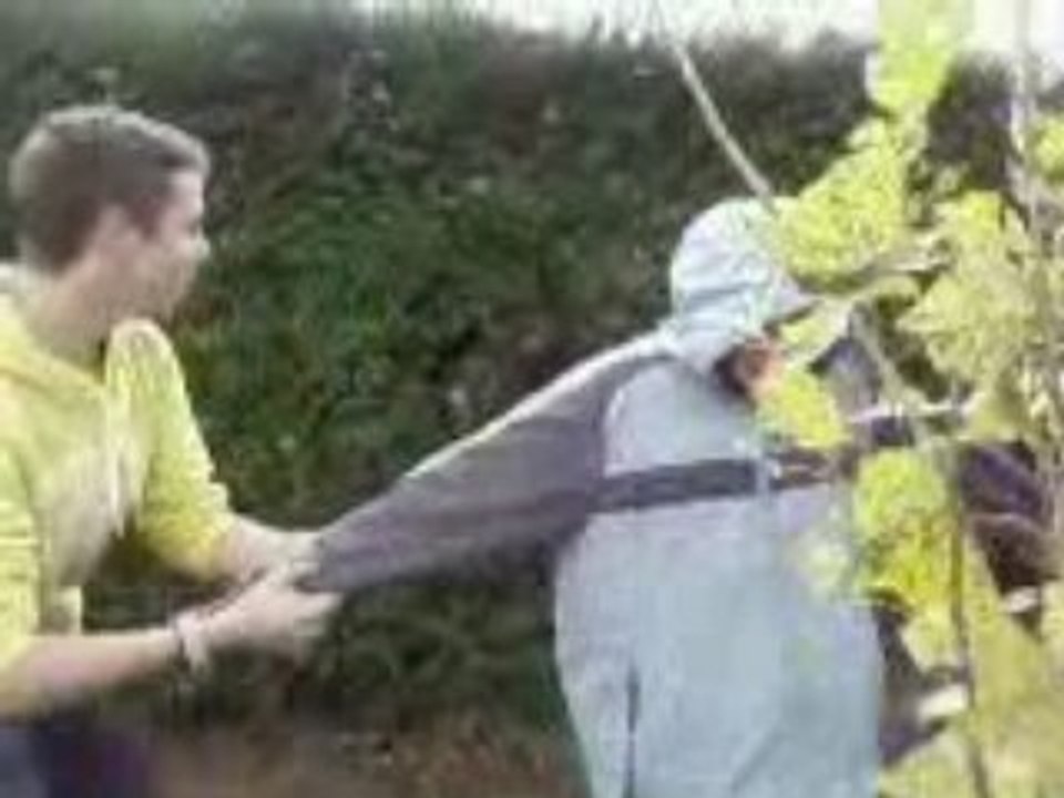 Buisson Guigui