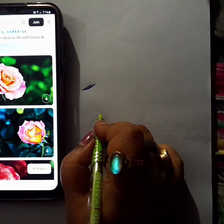Rose Skeching Timelapse