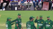 Funny and cricket