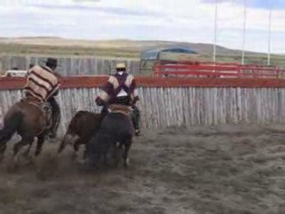 Corrida Punta Arenas