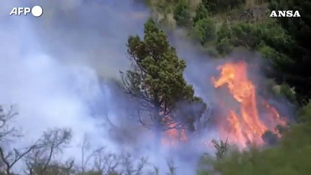 Brucia la Patagonia argentina, divorati dalle fiamme oltre 60mila ettari