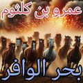 ألم تر أنني رجل صبور ،  عمرو بن كلثوم