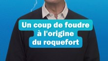 Un coup de foudre pour le Roquefort - Voyage dans le temps par Stéphane Bern