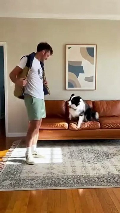 Dog and Owner Affection #dog #kingdomofawais